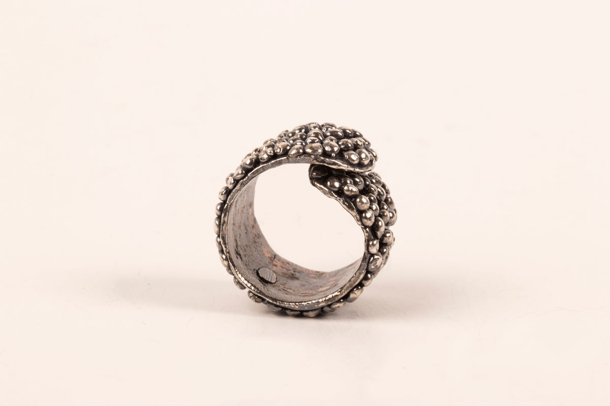 Anillo Granulación