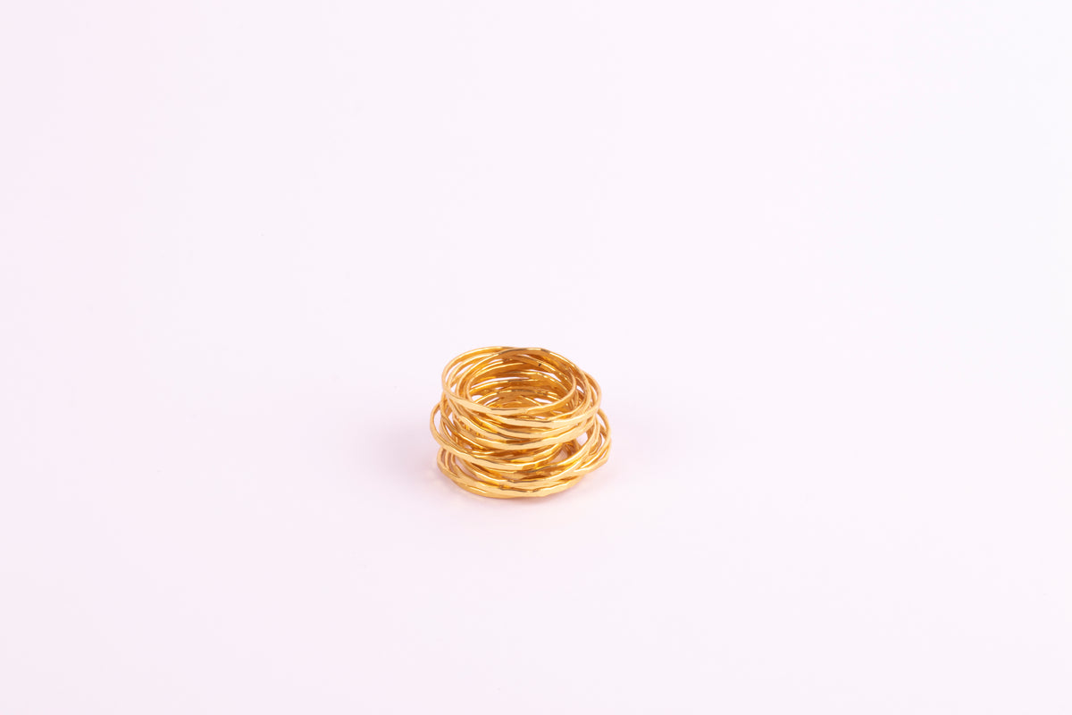 Anillo 21 argollas horizontal