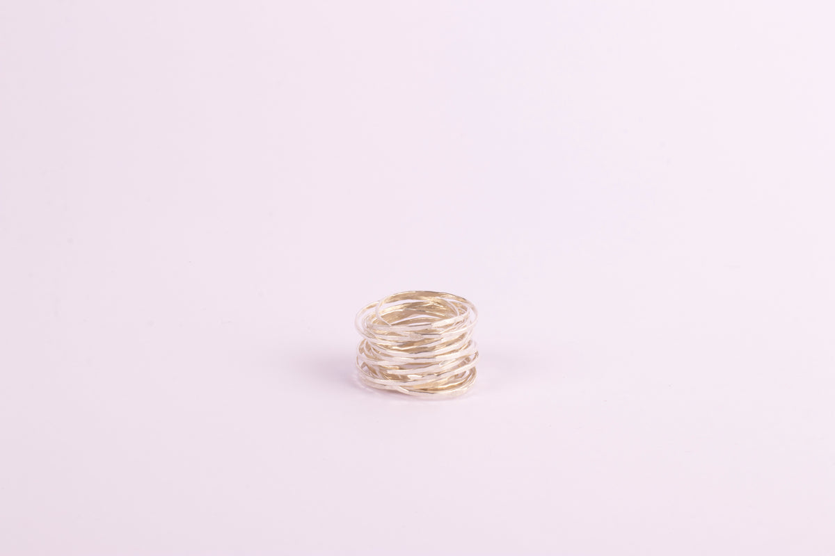 Anillo 21 argollas horizontal